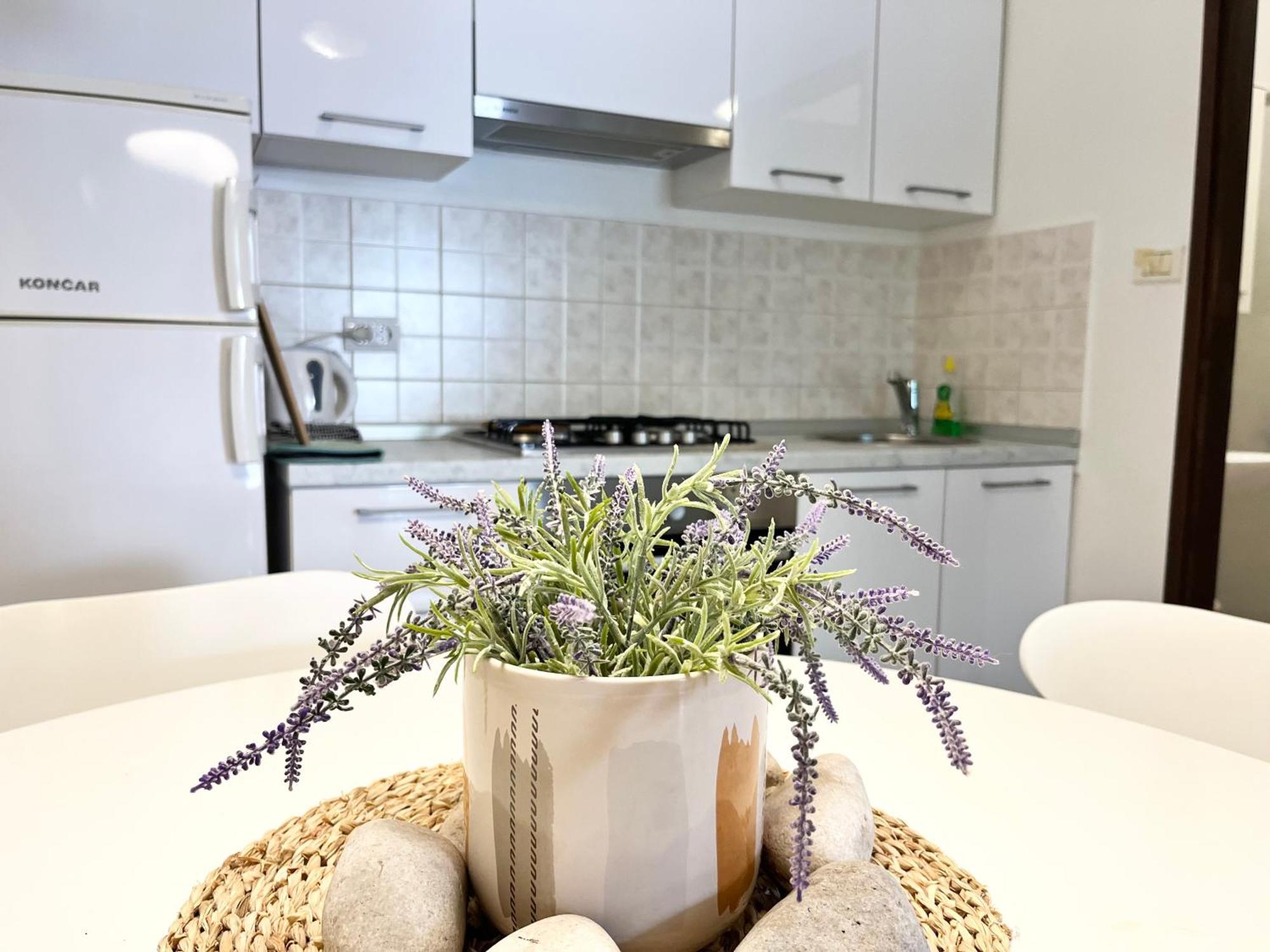 Biba Apartments พูลา ภายนอก รูปภาพ